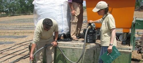 El CITA experimenta el control de malas hierbas