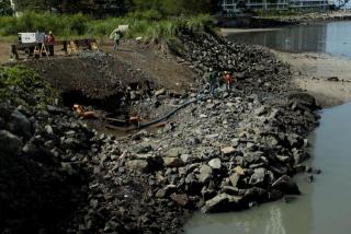 Ambientalistas reiteran preocupación por situación de áreas protegidas