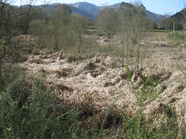 Asturias. Sospechosa recalificación de Soto de Luiña en Cudillero