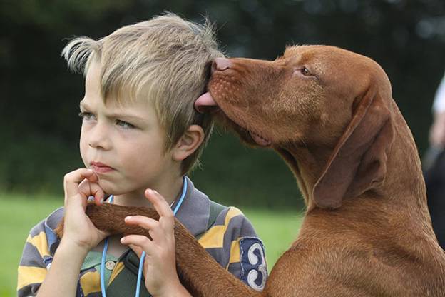 Estudio argentino sobre el origen del perro doméstico