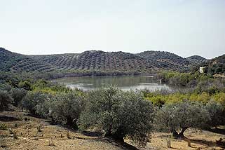 Reserva Natural Laguna de Zóñar ‘referente’ a seguir para garantizar la conservación de espacios protegidos