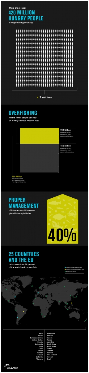 Bloom Philanthropies dona 53 millones de dólares para proteger los océanos con Oceana