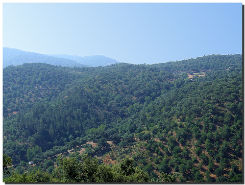 Los Parques Nacionales