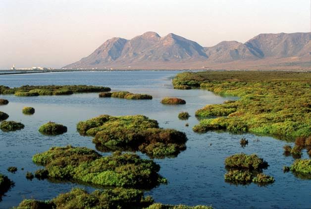 Contaminación acústica en el Parque Natural de Cabo de Gata