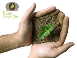 Últimos días de inscripción para el primer Huerto compartido tutelado de España