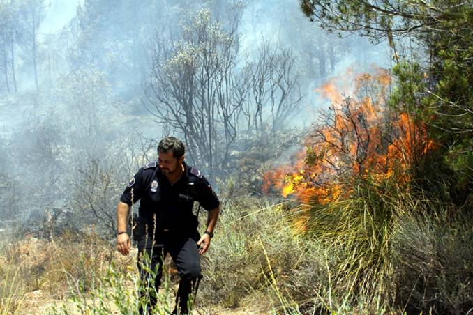 Mallorca. Andratx pierde por un incendio forestal siete hectáreas de pinar