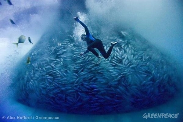 Interpol y los oscuros asuntos de la pesca