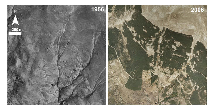 Sierra Nevada perderá su carácter alpino