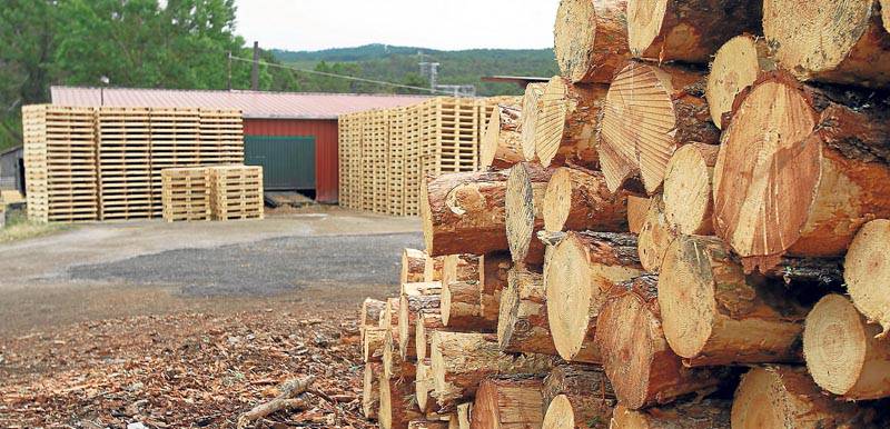 Declaradas de interés autonómico las plantas de biomasa Zuera y Erla