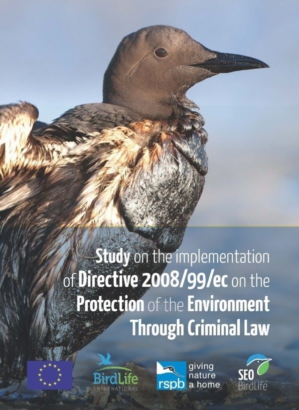 Para cuando la armonización de las penas por delitos ambientales en Europa