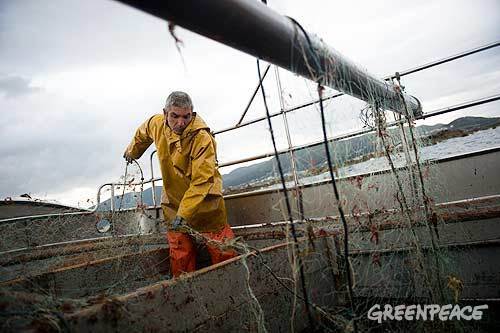 Greenpeace escucha a los pescadores artesanales