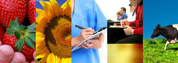 Innovador postgrado en Asesoría Medioambiental de IUSC