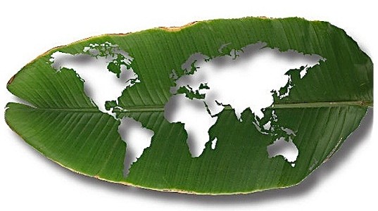 Australia aporta 134