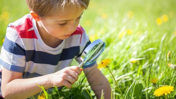 Interesado en desarrollar proyectos medioambientales