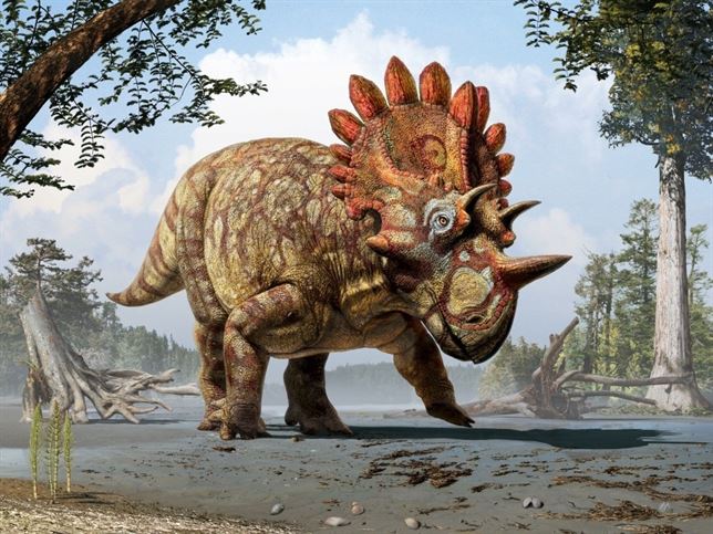 Descubierto un extraño imitador del triceratops con tres cuernos desproporcionados
