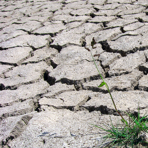 La UE pide a China más esfuerzos en la lucha contra el cambio climático