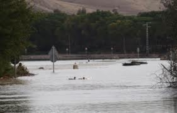 Ecologistas afirman que el problema del Guadalete es la ocupación de los suelos inundables