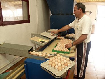 La IEC se une a la iniciativa de la FAO para evaluar el impacto ambiental