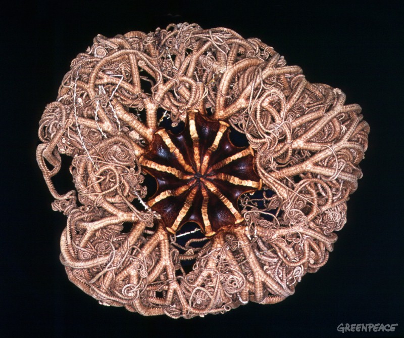 Las cuotas de profundidad