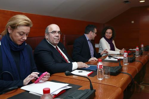 Canarias creará grupos de investigación de incendios forestales