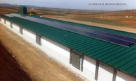 Granja de pollos con sistema fotovoltaico híbrido solar + gas