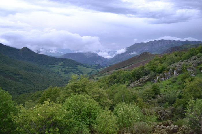 Biosfera de Picos de Europa. Asturias y Cantabria inician su mejora sostenible