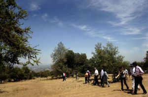 Vecinos de La Florida votarán el futuro uso de último bosque nativo de la capital