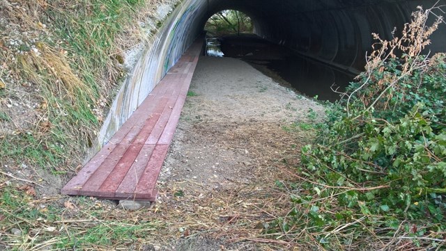 Medio Ambiente construye en Navarra pasos seguros y nuevos refugios para el visón europeo