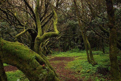 Se desbloquea la construcción del centro de interpretación de parques naturales en Ourense (Galicia)