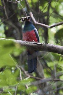 Explorando la biodiversidad