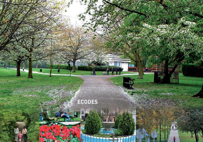 ECODES plantea 15 retos para las ciudades en 2015