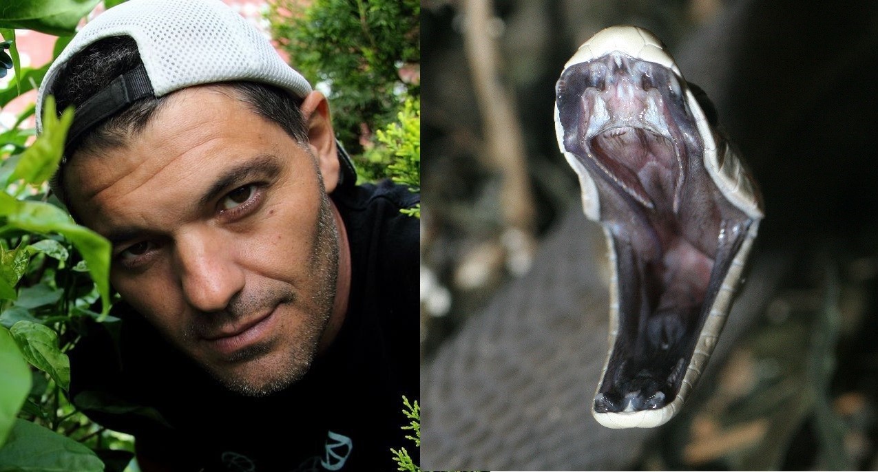 Mamba negra: todo sobre la última locura de Frank Cuesta