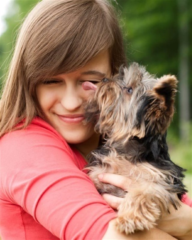 La adopción de mascotas se ‘impone’ en los hogares españoles