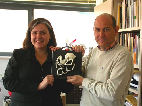 La revista Paleontolugy saca a la luz una araña de Utrillas atrapada en ámbar más de 100 millones de años