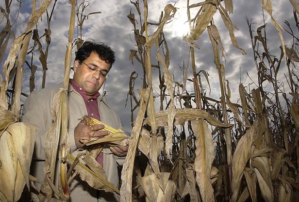 Cáritas quiere incluir el cambio climático y el deterioro ambiental como causa de refugio