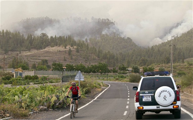 El fuego de Tenerife actuó básicamente por tierra lo que facilitará recuperar la vegetación