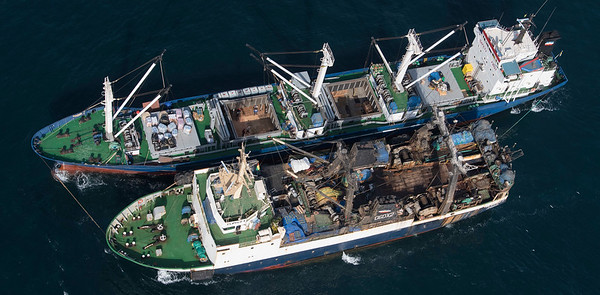 Greenpeace colabora en aguas africanas en la detención de pesqueros ilegales con sede en el puerto de Las Palmas