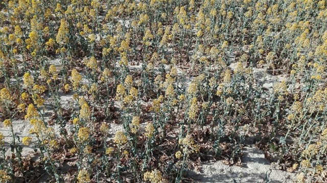 Los embalses bajan al 59