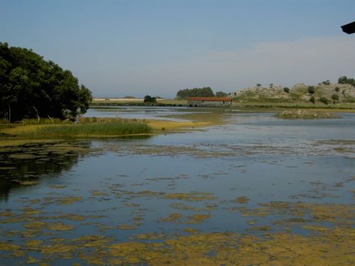 Aprobado el documento de referencia para la evaluación ambiental del Plan Especial de Suelo Rústico