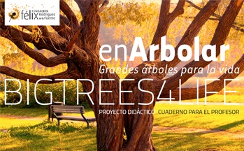 El Centro de Documentación del Agua y el Medio Ambiente (CDAMA) dedica una exposición y unas jornadas a la biodiversidad de los árboles singulares