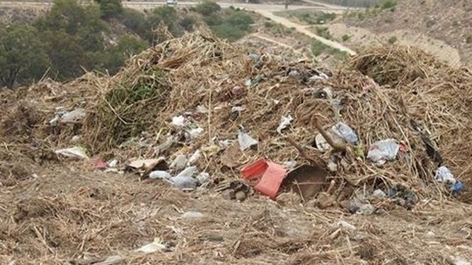 Denunciarán a CHG por arrojar vegetación a un espacio protegido de Red Natura en Melilla