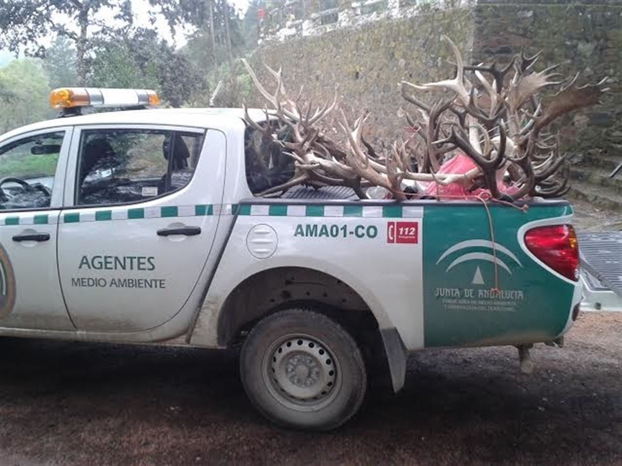 Incautan en Pozoblanco 20 trofeos de caza furtiva