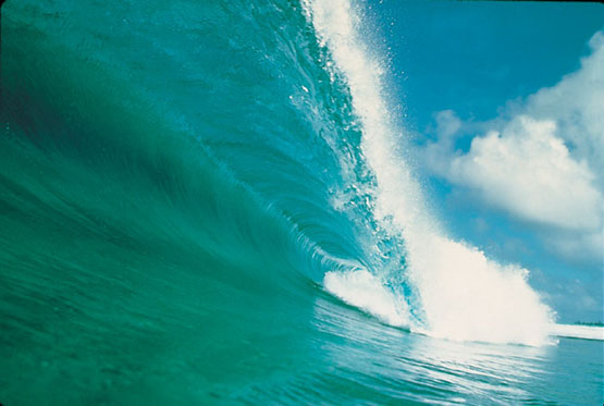 Novedad investigación española