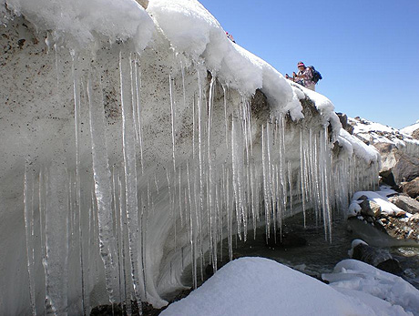 Muchos glaciares que se encuentran a baja altura