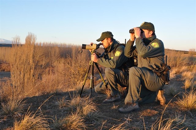 Agentes medioambientales de Castilla y León denuncian a dos cazadores por utilizar métodos prohibidos