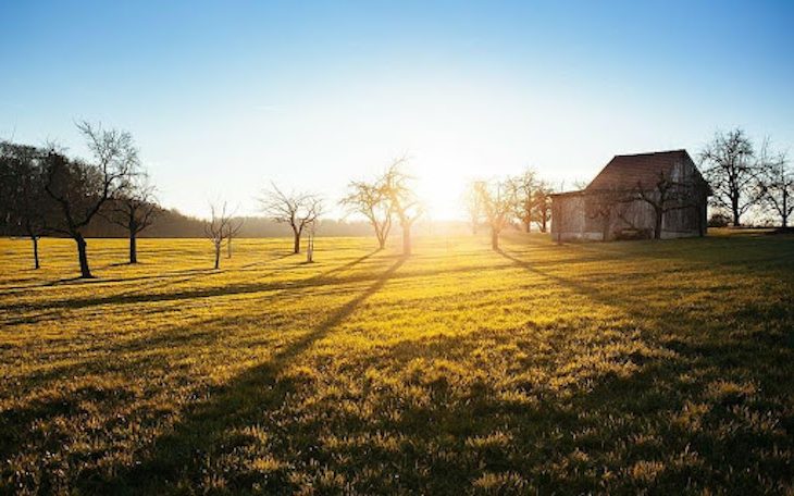 Día Mundial de la Agricultura Sostenible 2023