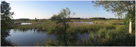 Doñana se seca y el gobierno no hace nada