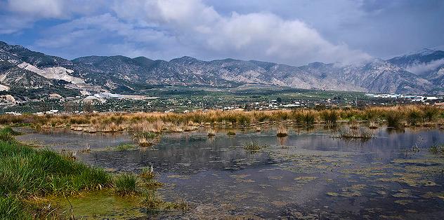 Denuncian ante la Fiscalía de Medio Ambiente la desecación del humedal de Padul