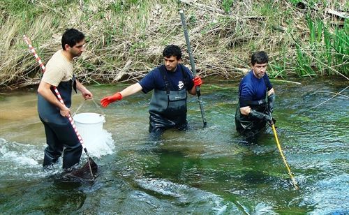 La UPV coordina un proyecto internacional para la gestión de los ríos mediterráneos