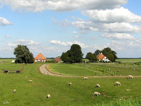 Las granjas familiares pueden producir más que las industrias y conservan la biodiversidad